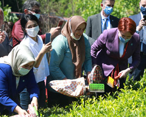 İYİ Parti Genel Başkanı Akşener, Rize'de köylerine taş ocağı açılmasını istemeyen kadınlarla görüştü