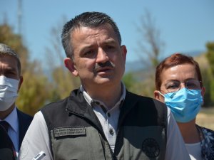 Bakan Pakdemirli: "Tarım İşçilerimiz Kademeli Aşılanacak"