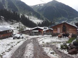 Şavşat’ın Köyleri Dolu Yağışıyla Beyaza Büründü