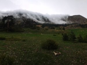 Artvin’in Yayalarında Oluşan Sis Bulutları Görsel Şölen Sunuyor