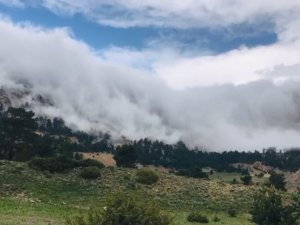 Artvin’in Yayalarında Oluşan Sis Bulutları Görsel Şölen Sunuyor