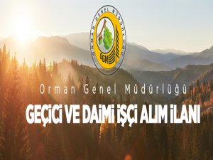 Orman Genel Müdürlüğü 2080 geçici, 3 daimi işçi alımı yapacak