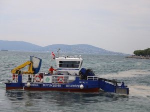 Kartal Sahilleri Deniz Salyasından Temizleniyor
