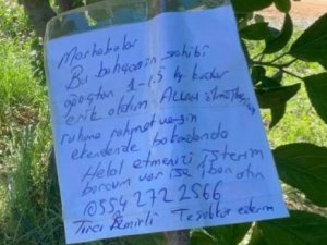 Erik Ağacının Dalına Not Bıraktı, "Borcum Var İse İban Atın"