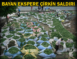 Rize'de Ekspere Çirkin Saldırı !