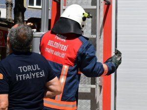 Torul İ̇tfaiyesinden “Yavru Karga” Operasyonu