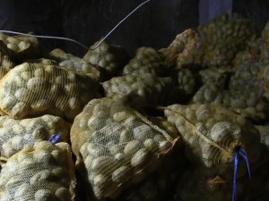 Fiyatı En Fazla Artan Ürün Patates