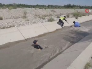 Çinli Polislerden Kanala Düşen Koyunları Kurtarma Operasyonu