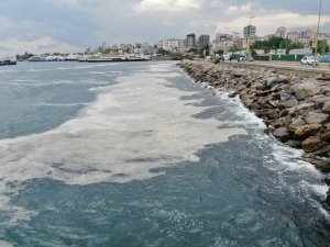 Bostancı Sahili’nde Deniz Salyası Yoğunluğu Su Altı Kamerasıyla Görüntülendi