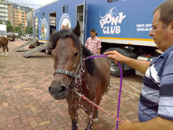 Belediye'den Çocuklara Ücretsiz Etkinlik