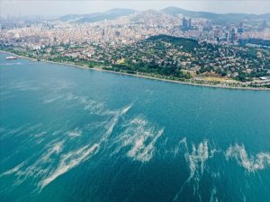 TÜBA Müsilaj Değerlendirme Raporu açıklandı