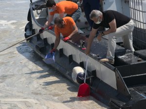 Vatandaşlar Deniz Salyasını Küreklerle Topladı