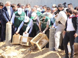 Bakan Pakdemirli 600 Milyon Tl’ye Mal Olan Barajdan İlk Suyu Verdi