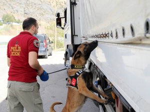 Doğu İllerinden Karadeniz’e Uyuşturucunun Geçişine ’Alex’ Engeli
