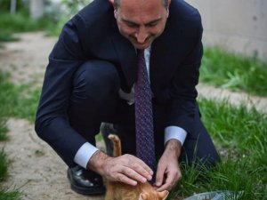 Bakan Gül’den Hayvanları Koruyacak Yeni Yasal Düzenleme Mesajı