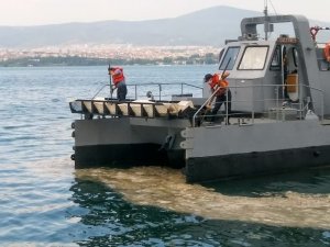 Msb: “Gölcük Poyraz Limanı’nda, 7 Haziran’da Müsilaj Temizleme Faaliyetlerine Başlanmıştır”