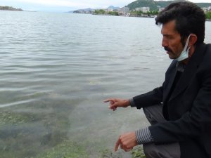 Marmara Denizi’ndeki Müsilaj Karadenizli Balıkçıları Endişelendiriyor