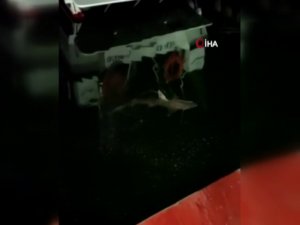 Haliç’te Balıkçının Oltasına Köpek Balığı Takıldı
