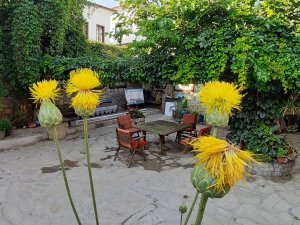 Bu Çiçeği Koparmanın Cezası 73 Bin Tl