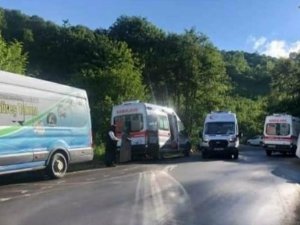 Yaylaya Çıkan Tur Minibüsü Devrildi: 15 Yaralı