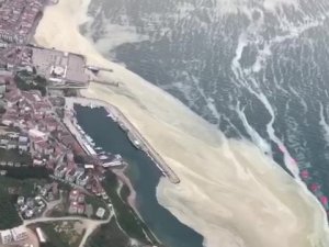 Marmara’da Görülen Deniz Salyasına Çare: ’Çatı Operasyonu’
