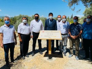 1300 Yıllık Anıt Ağacına Sahip Mut’a 3 Anıt Ağaç Daha Tescillendi
