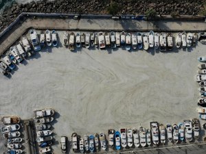 Çanakkale Boğazı’nda Müsilaj Kabusu Sürüyor