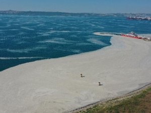 Yalova’da 9 Günde Bin 478 Metreküp Müsilaj Toplandı