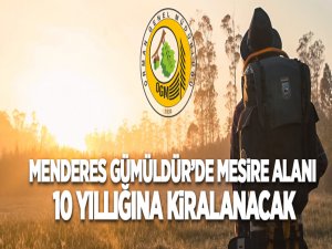 Menderes Gümüldür'de C tipi mesire alanı 10 yıllığına kiraya verilecek