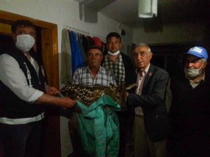 Yaralı Ala Geyik Yavrusuna Köylü Sahip Çıktı