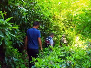 Gümüşhane’deki Kayıp Şahsı Arama Çalışmaları Devam Ediyor