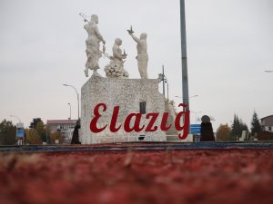 Elazığ 5 Ayda 146 Milyon 282 Bin Dolar İhracat Yaptı