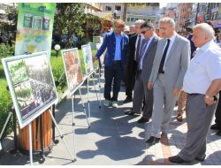 Fatih Sultan Kar'ın Yeşil Rize’nin Çayı Fotoğraf Sergisi Yoğun İlgi Gördü