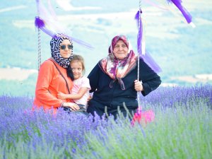 İ̇stanbul’un Stresinden Kaçan Soluğu Burada Alıyor