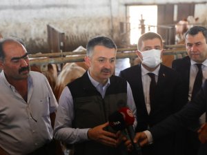 Tarım Ve Orman Bakanı Pakdemirli’den Yem Fiyatlarına İlişkin Açıklama