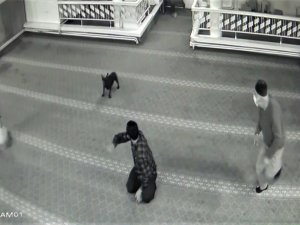 Camide Hayatlarının Şokunu Yaşadılar