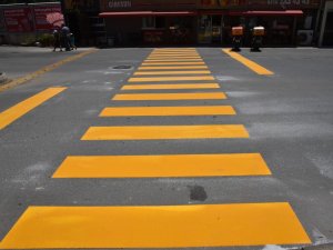 Giresun’da Yaya Çizgileri Yeşil Beyaza Boyanıyor