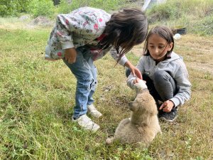 Köyün Gençleri Annesiz Kalan Yavru Köpeği Biberonla Besliyor