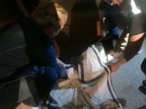 Yaralı Kartalı Orman Personeli Fark Etti