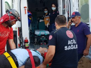 Mantar Toplamaya Giden Yaşlı Adam Uçuruma Yuvarlandı