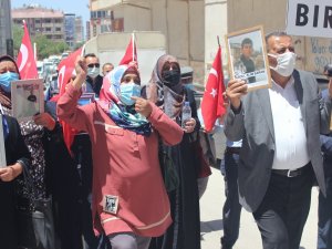 Vanlı Anne Çocuğuna Kavuştu Ama Mücadelesinden Vazgeçmedi