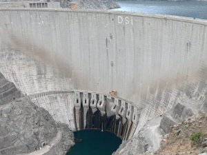 Artvin’de Baraj Setine Tırmanan Keçiler, Görenleri Şaşkına Çeviriyor