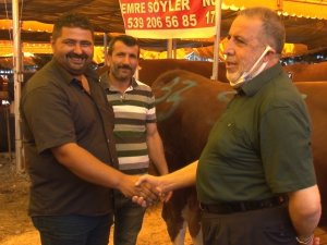 Aşılanma Hızlandı, Kurban Pazarlarında Tokalaşma Geri Geldi