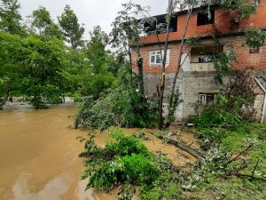 Selden Etkilenen 104 Haneye Ödemeler Başladı