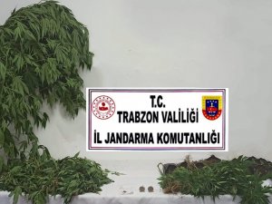 Jandarma Uyuşturucu Satıcılarına Geçit Vermiyor