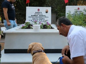 Şehidin Emaneti İle Şehide Ziyaret