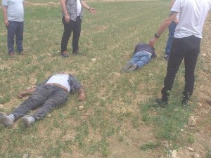 Gümüşhane’de Trafik Kazası: 1 Ölü, 3 Yaralı