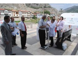 Şişmanlıktan Korunmak İçin Bol Su İçin