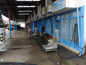 Mezgit, Tarihinin En Yüksek Fiyatını Gördü