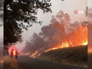Abd’nin California Eyaletindeki Orman Yangını Günlerdir Sürüyor
